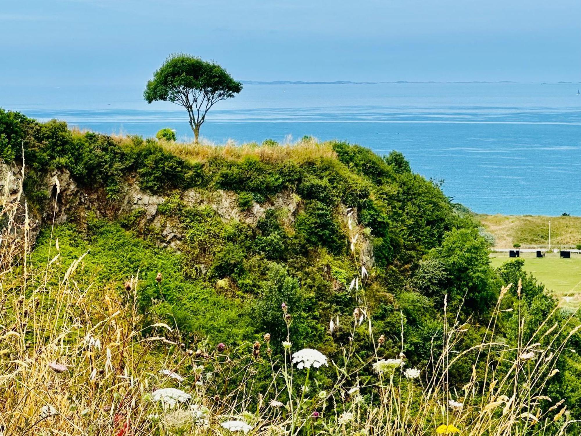 Le Refuge De Lalbatros Vert Donville-les-Bains Ngoại thất bức ảnh